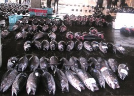 お食事処 大和(やまと)のサブ写真1