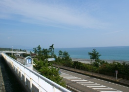道の駅 パーク七里御浜のギャラリー写真3