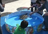 紀宝町 道の駅 ウミガメ公園　ふれあいパークの新着情報写真